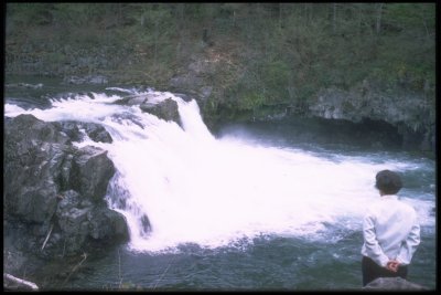Moutlon Falls, Lewis River