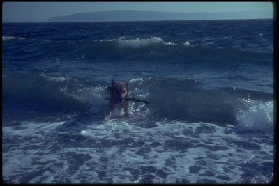 November 1965, Tag at beach