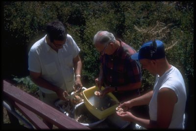 Jack, Del and Pop cleaning clams