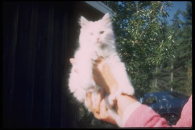 Fritzie
