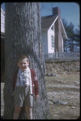 Jimmy + tree