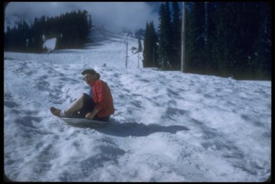 Sledding on Mt. Rainier