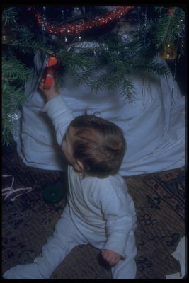 Jimmy and tree