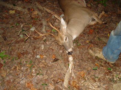 9/23/2008 - 1st 8pt Buck for 2008