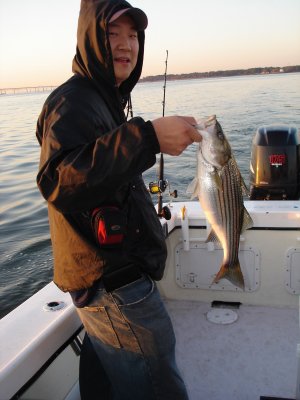 11/1/2008 Cho Charter