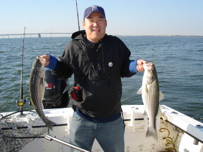 11/1/2008 Cho Charter