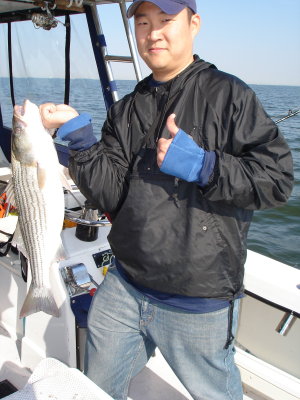 11/1/2008 Cho Charter