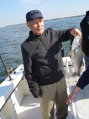 11/1/2008 Cho Charter