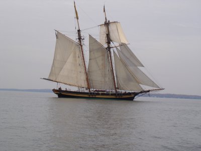 Sail Boats in the Bay!