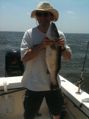 7/24/2010 Saussy Charter Nice 32 Striper onboard Down Time Charters
