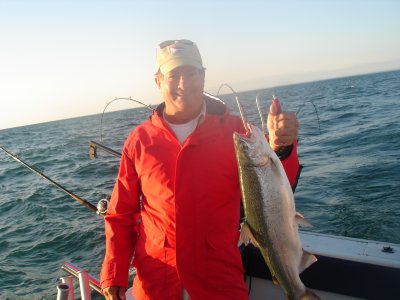 Rainbows/Steelhead -  Fishing at Lake Ontario Fishing at Lake Ontario