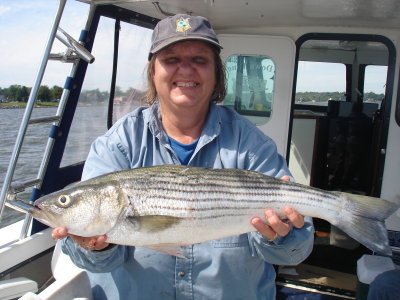 9/14/2010 - Sprouse charter - Nice Striper