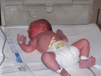 g1/71/285871/3/93175505.ApLe4wPi.jpg