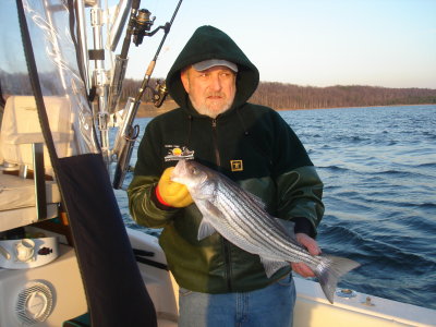 3/6/2008 Capt. Frank Early C/R trip shows nice fish at the Rips onboard Grady27