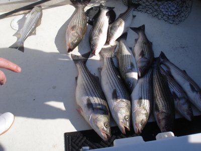 5/21/2008 - Anglers Charter