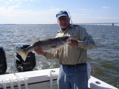 5/21/2008 -Dennis shows off nice Striper - Anglers Charter