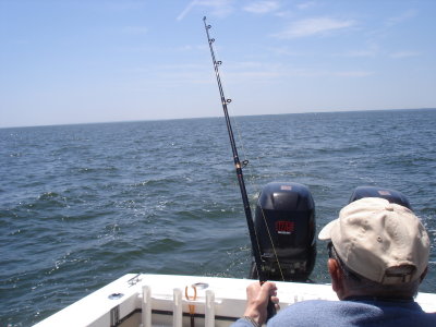 5/29/2008 Parlato Charter