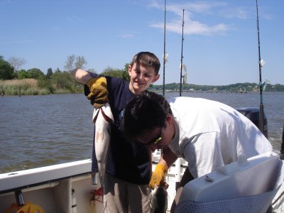5/29/2008 Parlato Charter