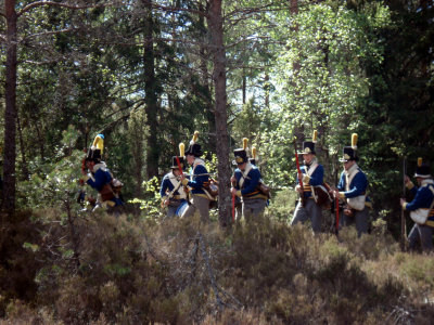 Ny stllning i skogen