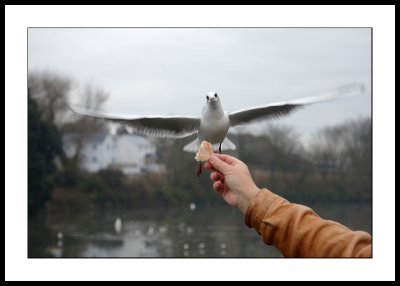 Flight path