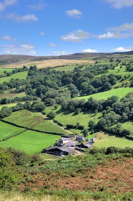 Welsh farmland