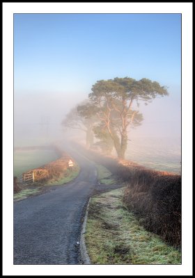 Morning fog