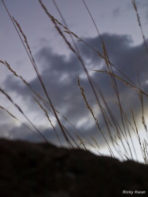 g1/71/398071/3/115030647.2GK6gEt5.jpg
