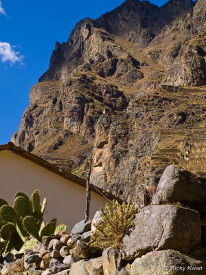 peru09_356.JPG