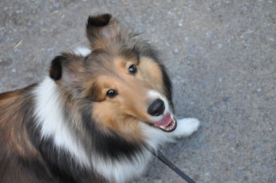 DSC_0368.JPG