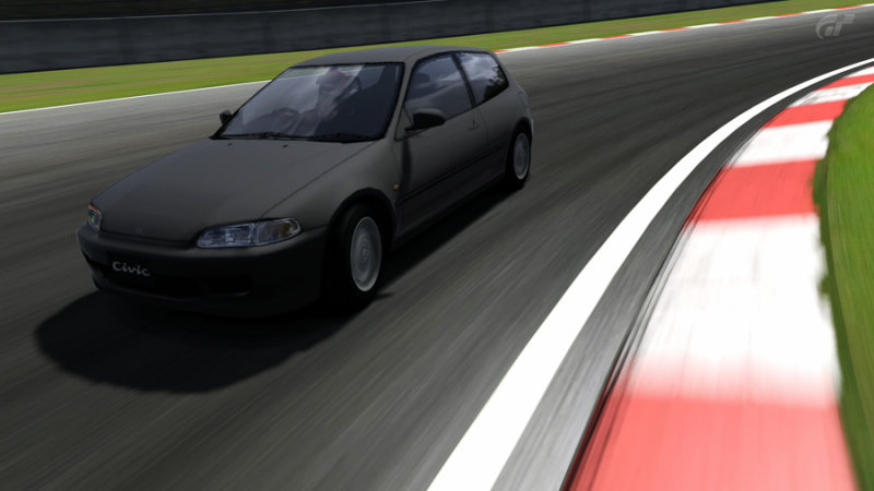 Deep Forest Raceway_1.jpg