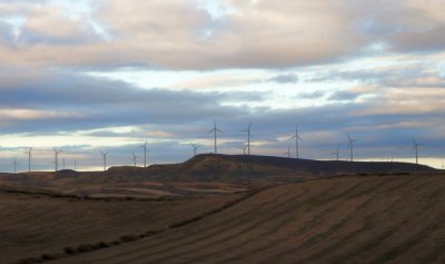 Wind Farm outside Madrid
