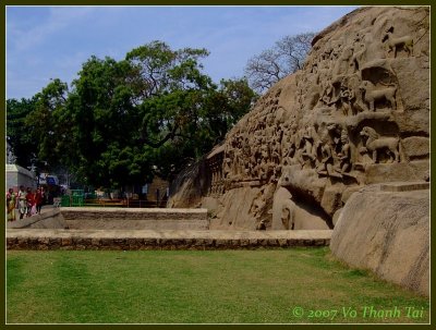 Mamallapuram rock carvings