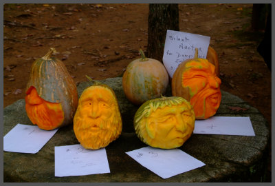 Pumpkin faces