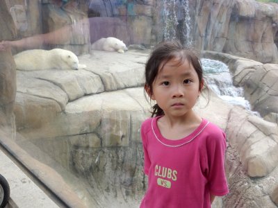 P1000516.JPG