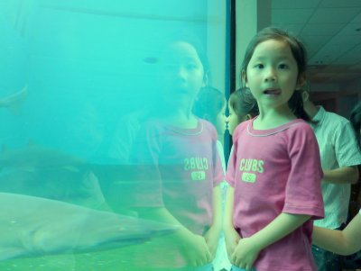 P1000519.JPG