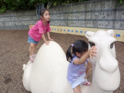 P1000566.JPG