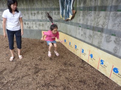 P1000567.JPG