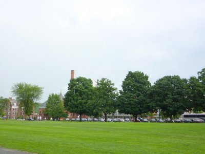 P1000769.JPG