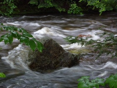 P1000844.JPG