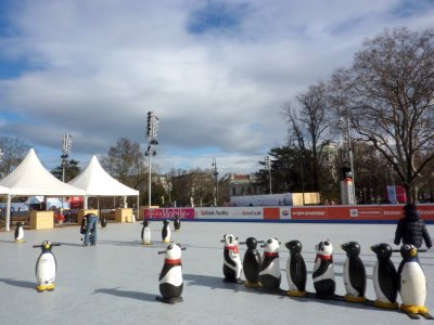P1030453.JPG
