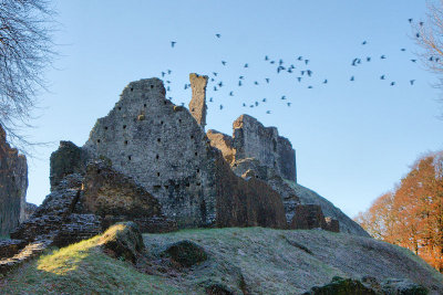 Okehampton Castle with Rooks