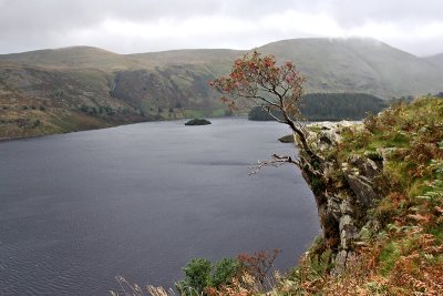 Day5_14_ Haweswater_p.jpg