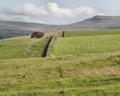 Day7_15_Smardale Fell_p2.jpg