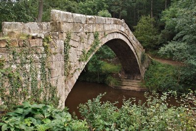 Day14_3_Beggars Bridge Glaisdale.jpg