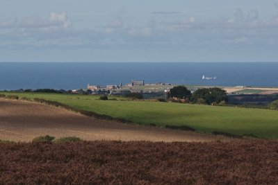 Day14_29_Distant Whitby.jpg