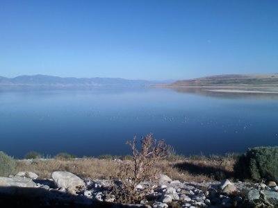 antelope island