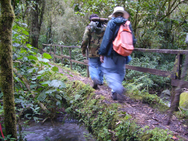The Trek at Amistad