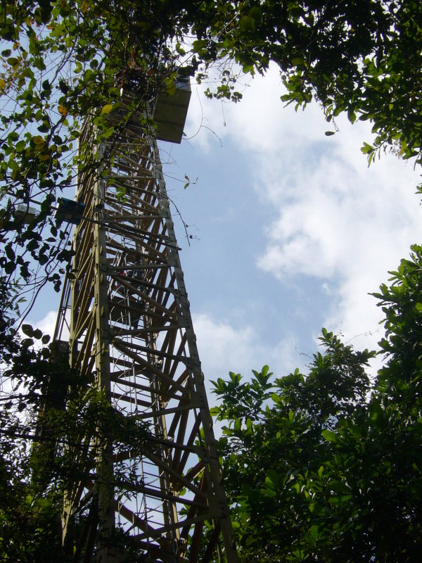The Crane