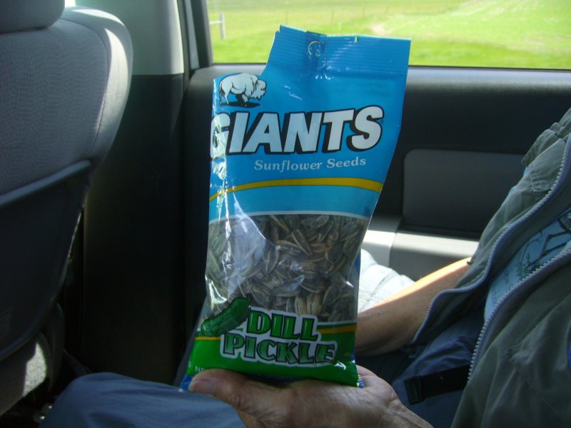 Sunflower Seeds - very popular