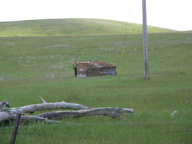 Old Homestead